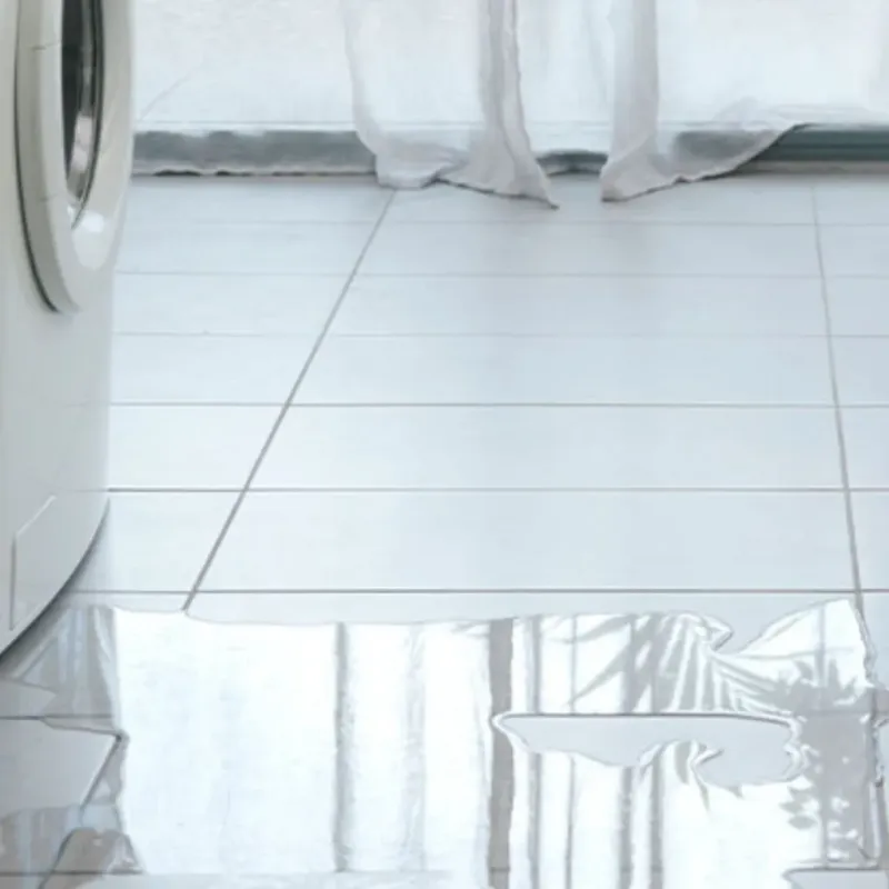 Appliance Leak Cleanup in Royal City, WA