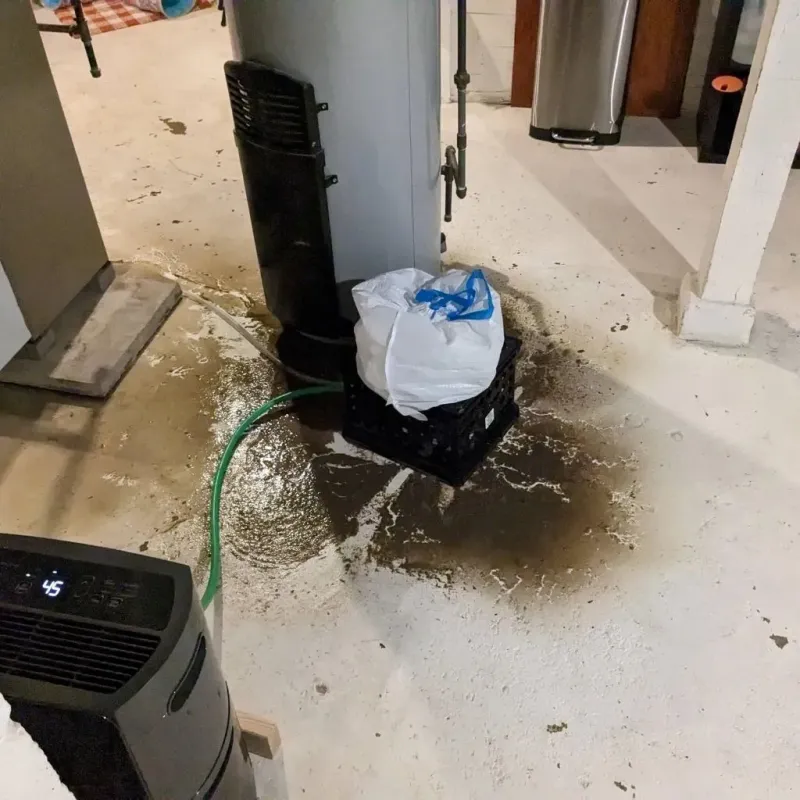 Sewage Backup Cleanup Service in Royal City, WA